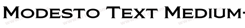 Modesto Text Medium字体转换